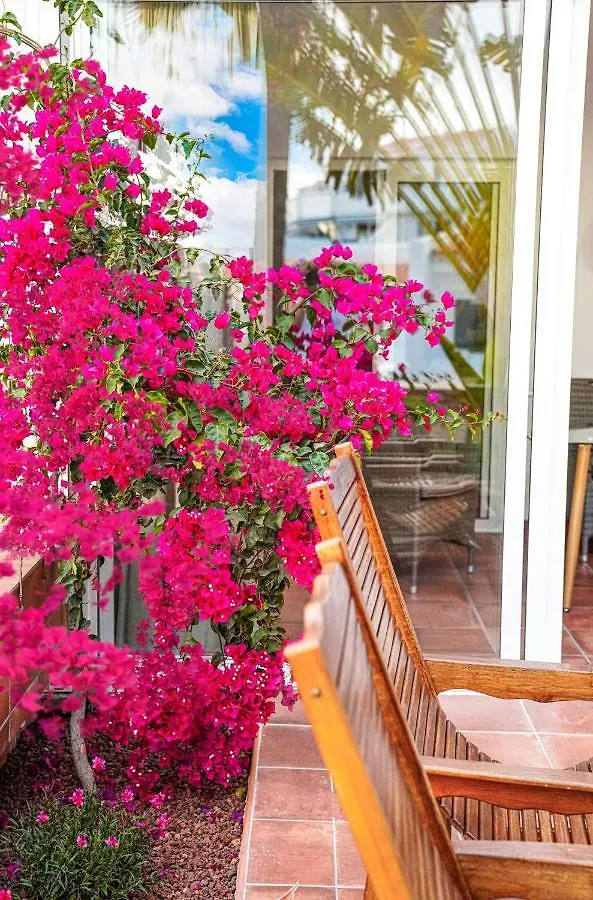 شقة In The Garden أذيخي